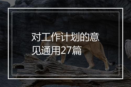 对工作计划的意见通用27篇