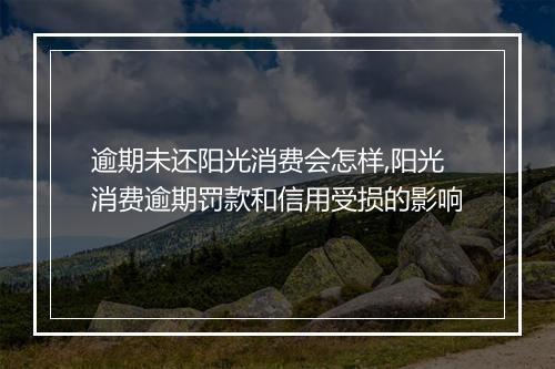 逾期未还阳光消费会怎样,阳光消费逾期罚款和信用受损的影响