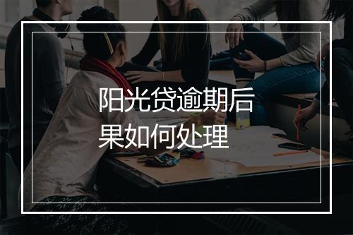 阳光贷逾期后果如何处理