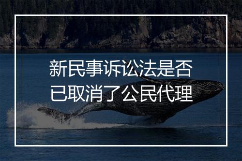 新民事诉讼法是否已取消了公民代理
