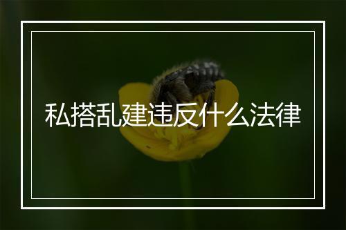 私搭乱建违反什么法律