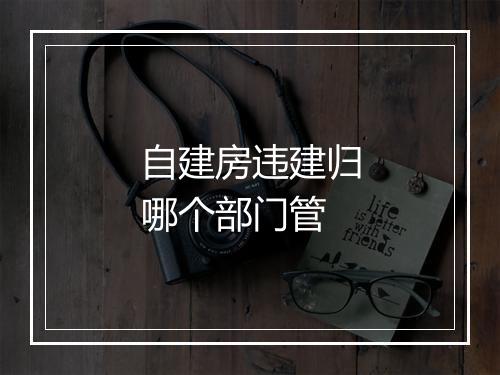 自建房违建归哪个部门管