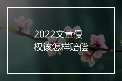 2022文章侵权该怎样赔偿