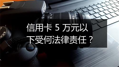 信用卡 5 万元以下受何法律责任？