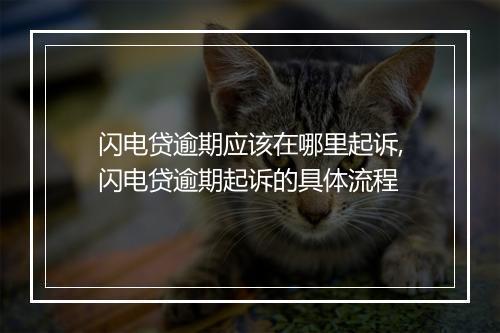 闪电贷逾期应该在哪里起诉,闪电贷逾期起诉的具体流程