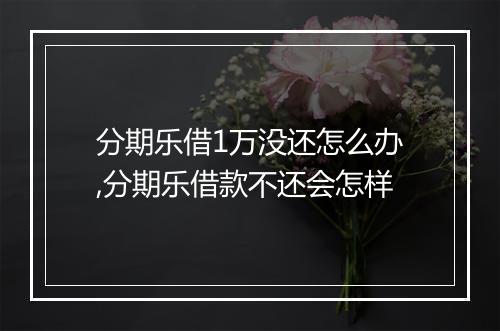 分期乐借1万没还怎么办,分期乐借款不还会怎样