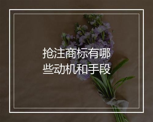 抢注商标有哪些动机和手段