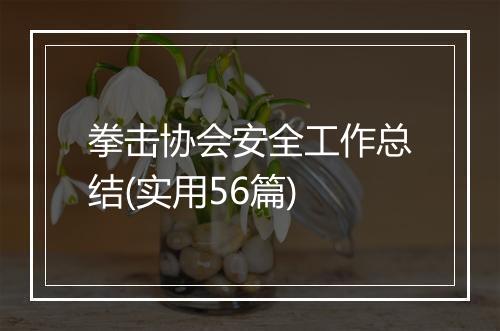 拳击协会安全工作总结(实用56篇)