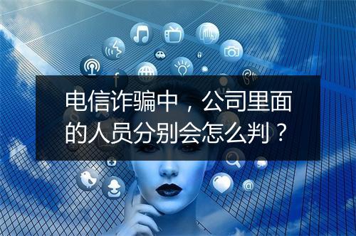 电信诈骗中，公司里面的人员分别会怎么判？
