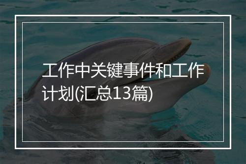 工作中关键事件和工作计划(汇总13篇)