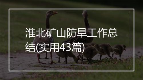 淮北矿山防旱工作总结(实用43篇)