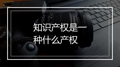 知识产权是一种什么产权