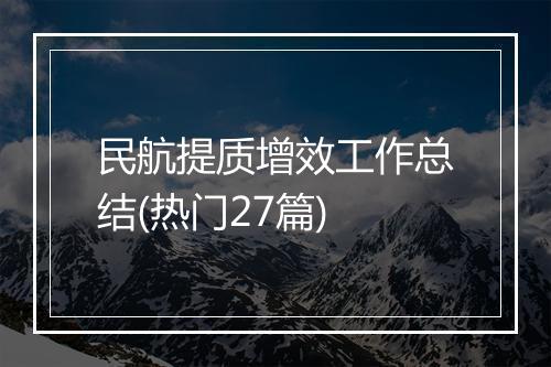 民航提质增效工作总结(热门27篇)