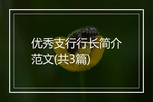 优秀支行行长简介范文(共3篇)