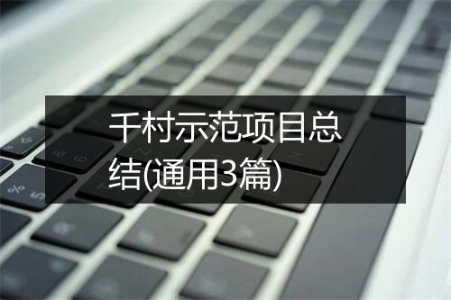 千村示范项目总结(通用3篇)