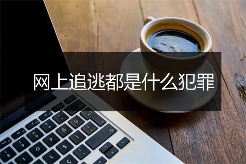 网上追逃都是什么犯罪