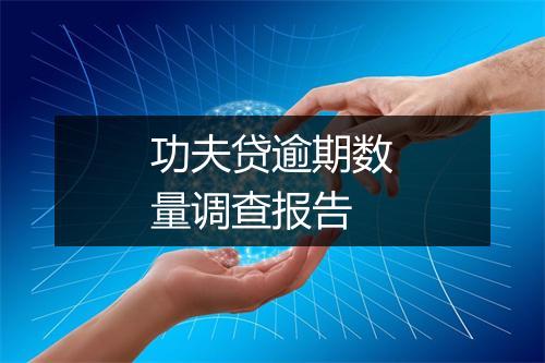功夫贷逾期数量调查报告