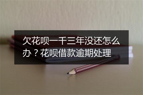欠花呗一千三年没还怎么办？花呗借款逾期处理