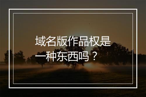 域名版作品权是一种东西吗？
