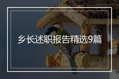 乡长述职报告精选9篇