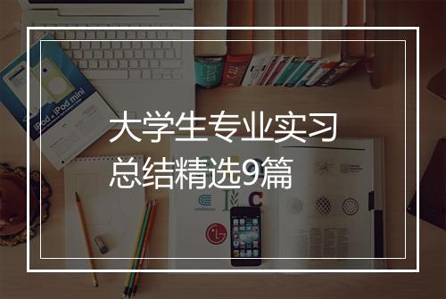 大学生专业实习总结精选9篇
