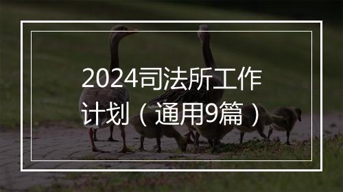 2024司法所工作计划（通用9篇）