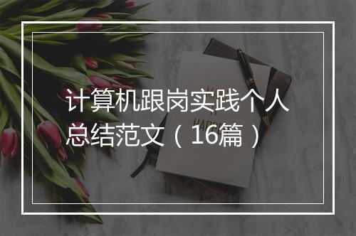 计算机跟岗实践个人总结范文（16篇）