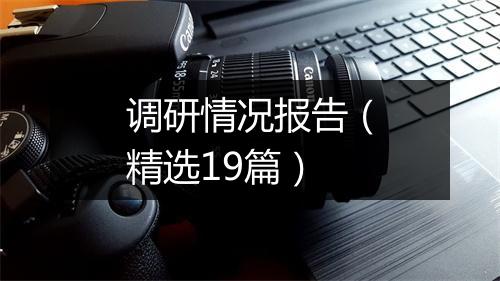 调研情况报告（精选19篇）