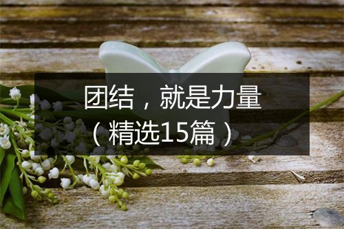 团结，就是力量（精选15篇）