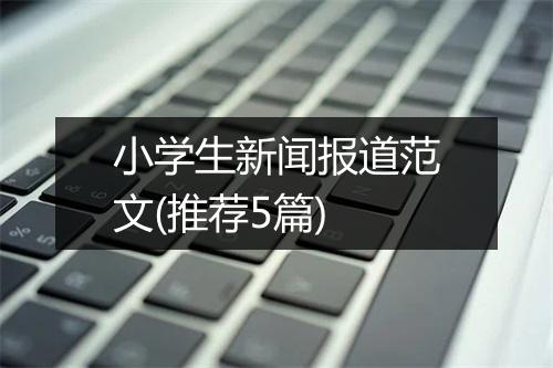 小学生新闻报道范文(推荐5篇)