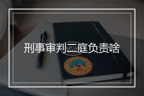 刑事审判二庭负责啥
