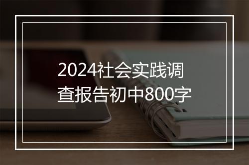 2024社会实践调查报告初中800字