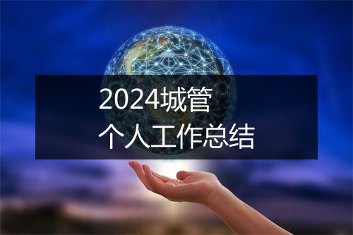 2024城管个人工作总结