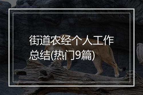 街道农经个人工作总结(热门9篇)