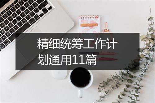 精细统筹工作计划通用11篇