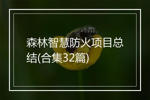 森林智慧防火项目总结(合集32篇)