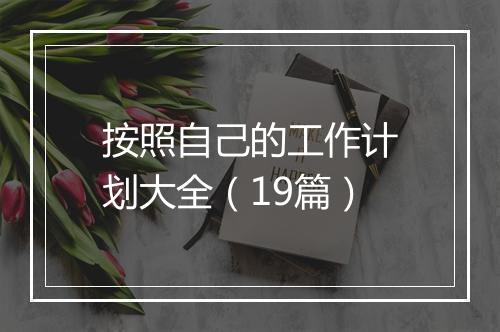 按照自己的工作计划大全（19篇）