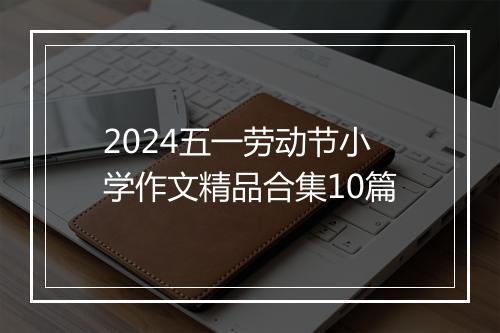 2024五一劳动节小学作文精品合集10篇