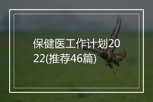 保健医工作计划2022(推荐46篇)