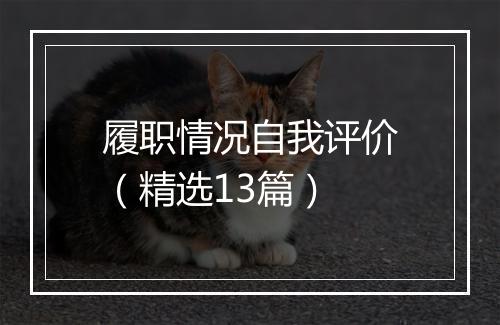 履职情况自我评价（精选13篇）