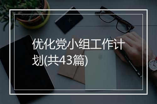 优化党小组工作计划(共43篇)