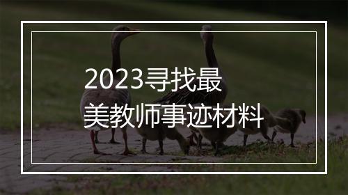 2023寻找最美教师事迹材料