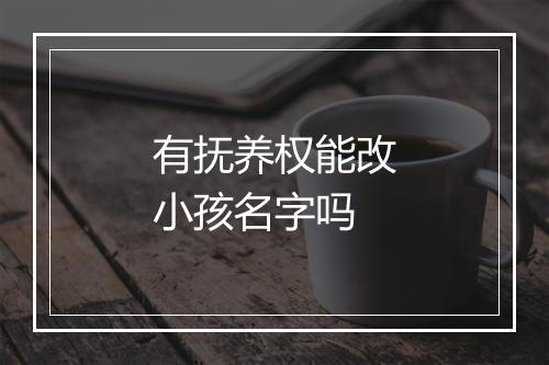 有抚养权能改小孩名字吗