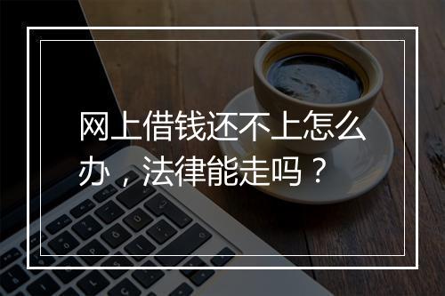 网上借钱还不上怎么办，法律能走吗？