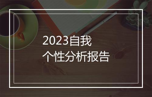 2023自我个性分析报告