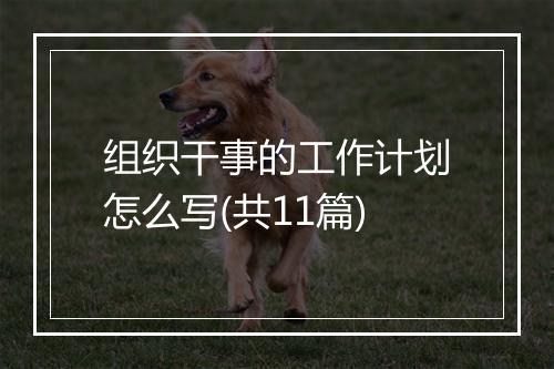 组织干事的工作计划怎么写(共11篇)