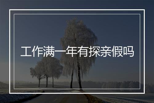 工作满一年有探亲假吗