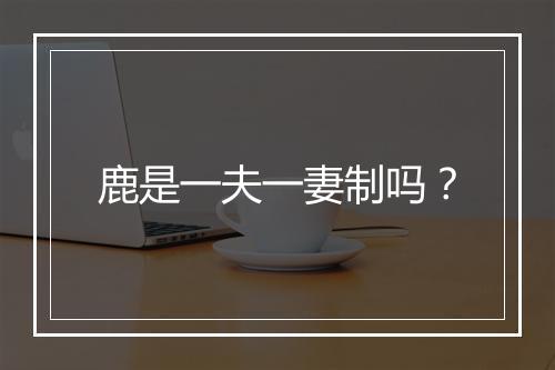 鹿是一夫一妻制吗？