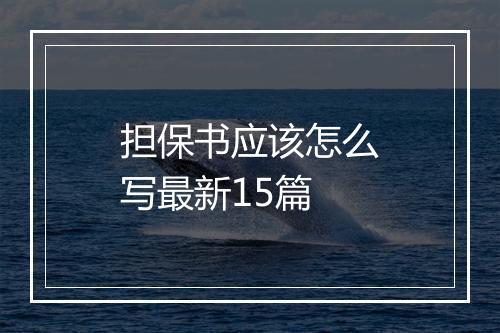 担保书应该怎么写最新15篇