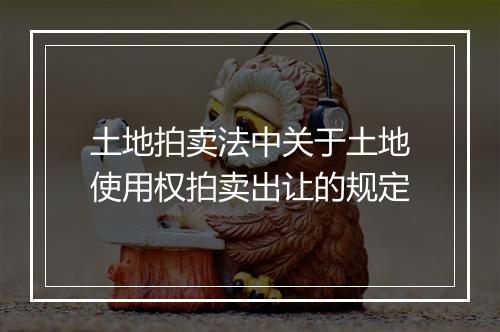 土地拍卖法中关于土地使用权拍卖出让的规定
